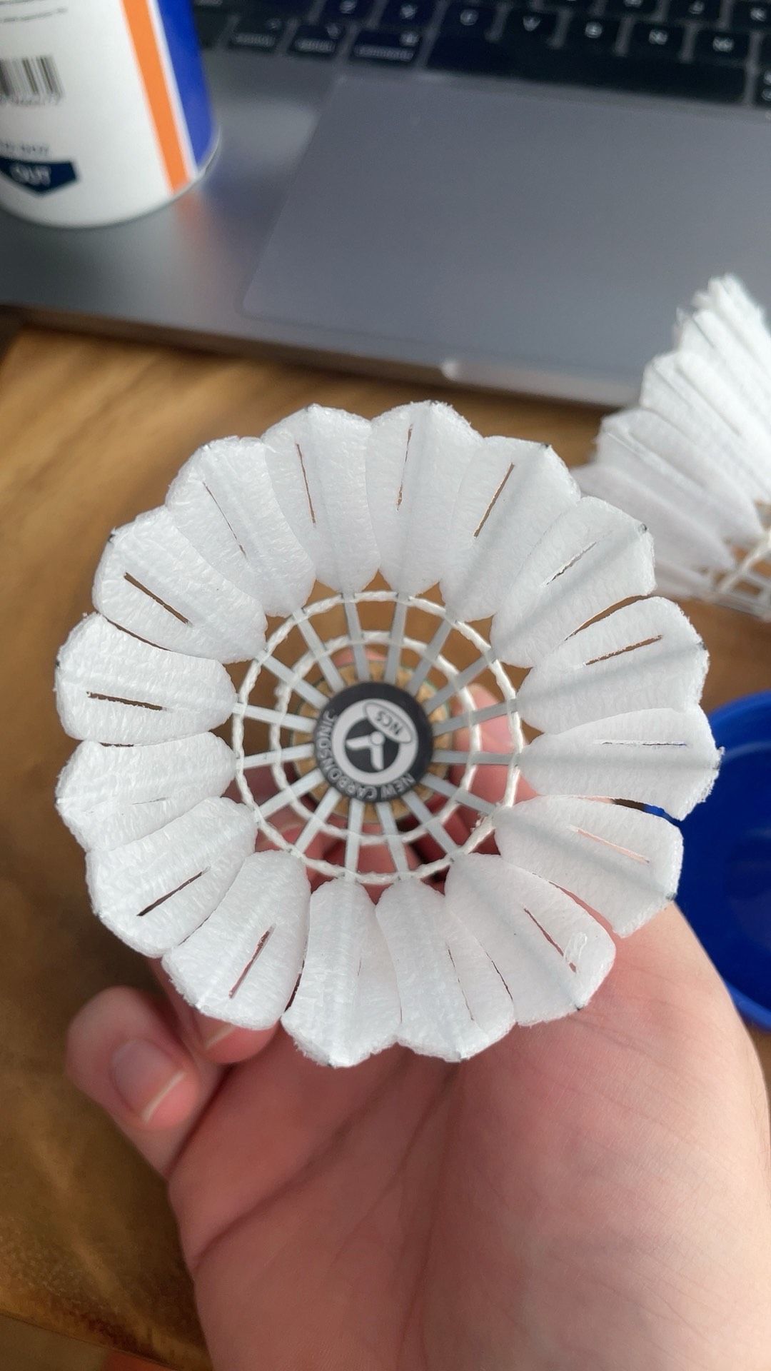 从过去的交 从过去的交