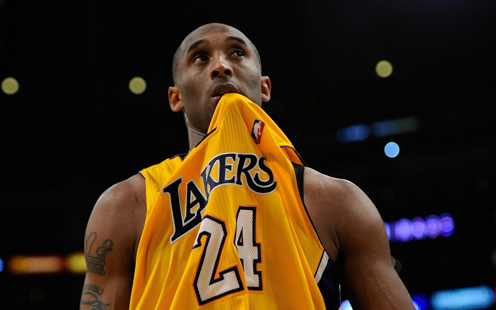 而是对职业 而是对职业