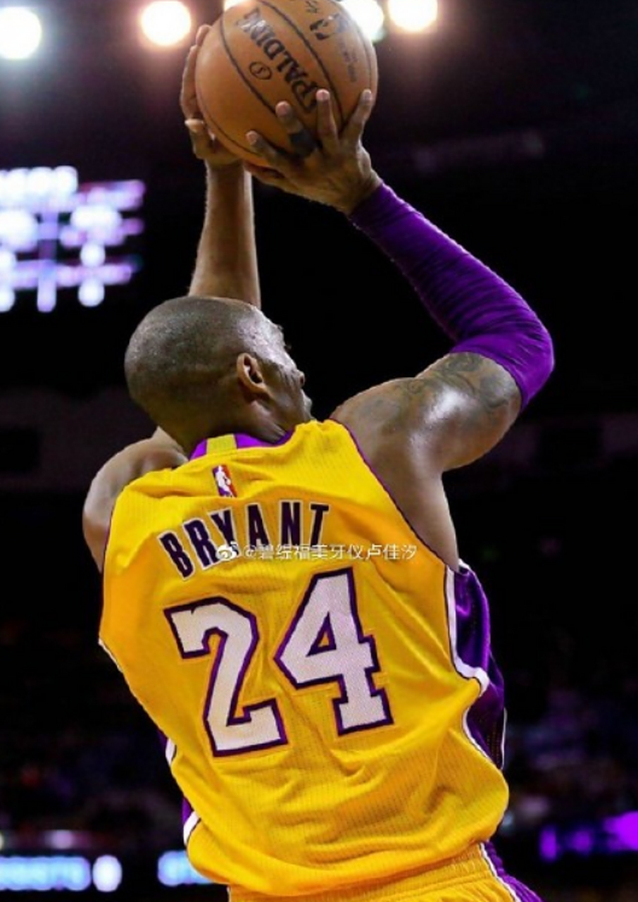 案例观察 案例观察